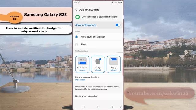 Samsung Galaxy S23 Ultra : How to enable notification badge for baby sound alerts смотреть онлайн