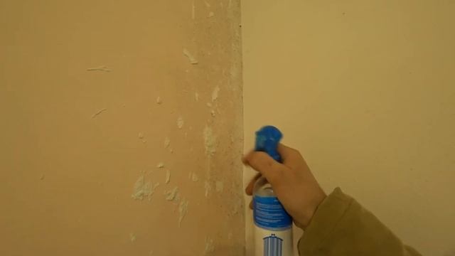 Как избавиться от плесени СВОИМИ РУКАМИ смотреть онлайн