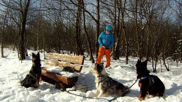 (2) Mit 3 HIMMEL-Hunden unterwegs im WESTERWALD - auf KICKSPARK & TREKKING-Ski Feb. 2015 смотреть онлайн