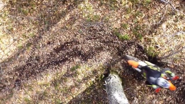 Ангарск соревнования по Эндуро 03.10.2020 смотреть онлайн