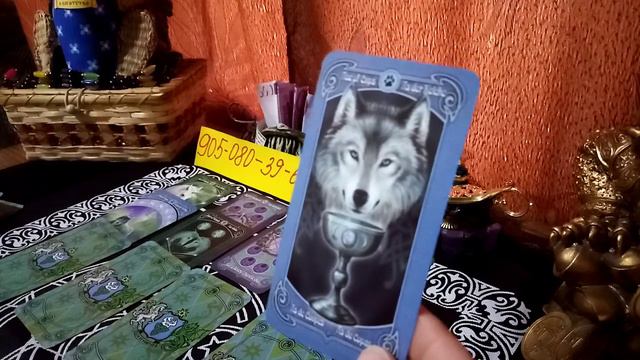 Карта дня на 16 января 2020 года смотреть онлайн