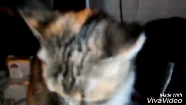 Сублимированные продукты 