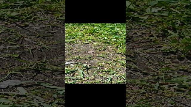 красивые камни смотреть онлайн