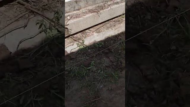 25 декабря 2020 г. смотреть онлайн