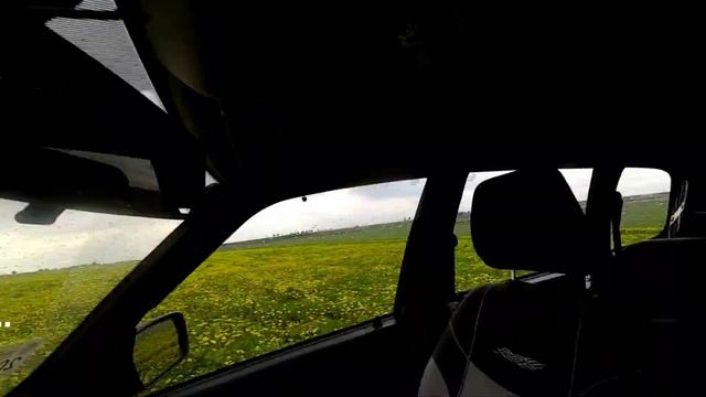 КОП В БЕЛАРУСИ ЗА 30 МИНУТ