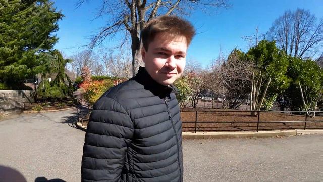 W4 смотреть онлайн