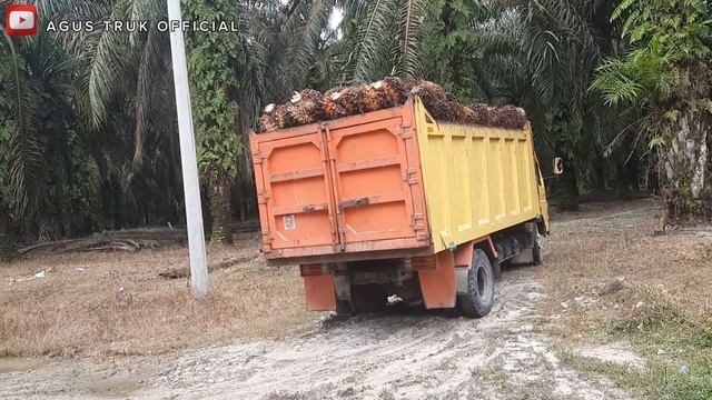 SUPIR UGAL UGALAN MOBIL NYARIS MASUK PARET❗TRUK TERGULING #truksawit #supirtruk смотреть онлайн