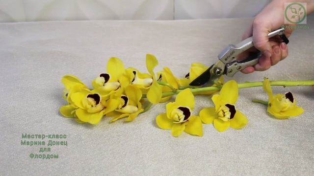 Разделяем ветку цимбидиума, чтобы распределить цветы в букете. смотреть онлайн