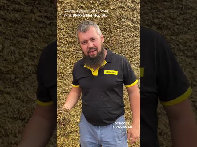 BMR-6 Nutritop Star Сорго-суданский гибрид смотреть онлайн