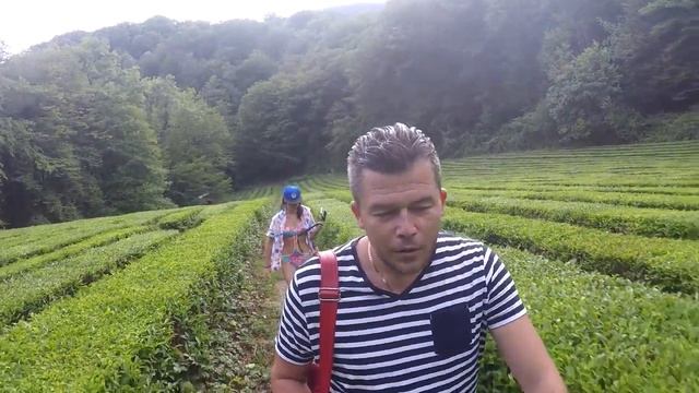 Отдых в Сочи - Дагомысские корыта