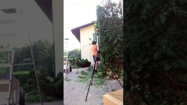 Стрижка туй с помощью лазера. Трансляция тиктока. 25.08.2021 смотреть онлайн