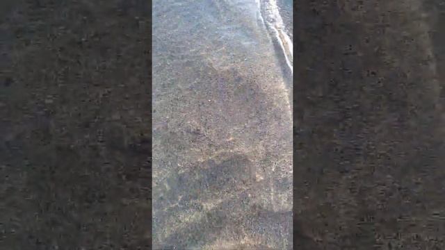 Купаемся на озере Иссык Куль!!!!!29 августа, ещё тепло!!!!! смотреть онлайн