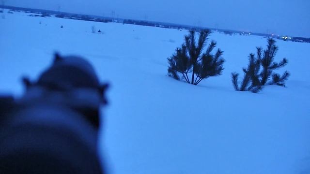 Охота на лису в полнолуние. Лиса идёт на днёвку смотреть онлайн