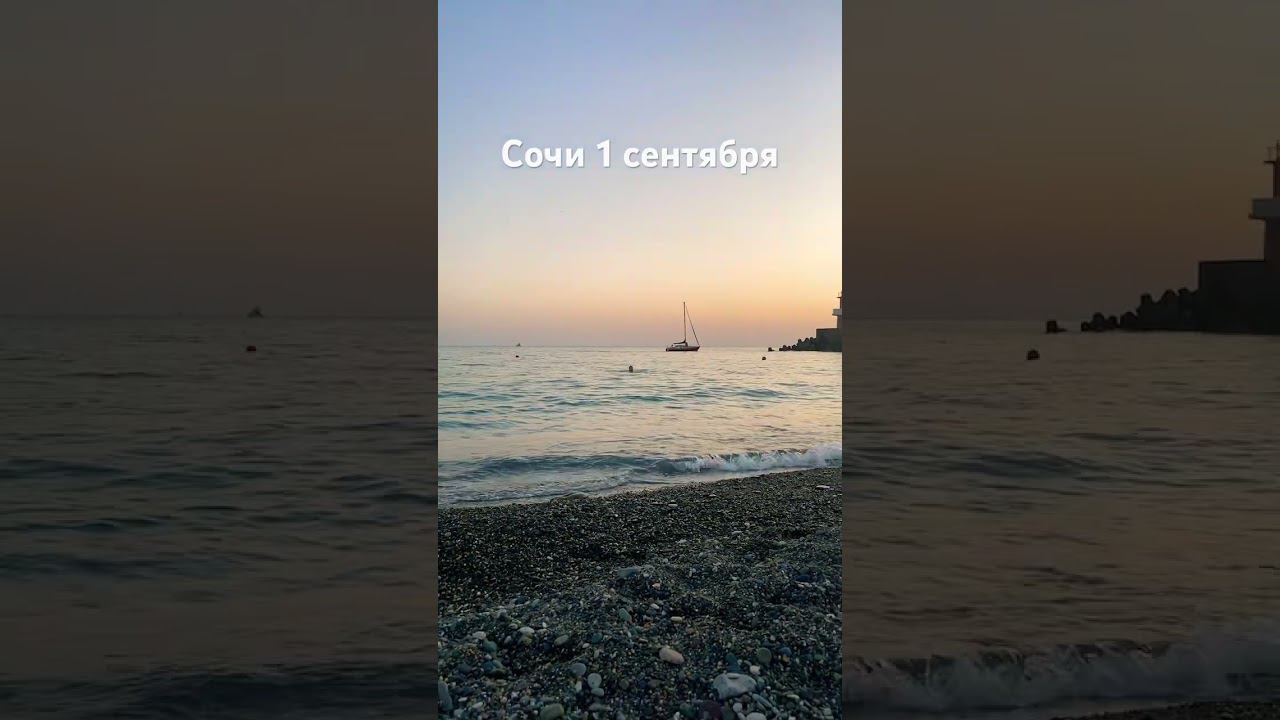 Сочи #1с #курсы1с #программист1с смотреть онлайн