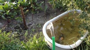 Какой напор воды создаёт циркуляционный насос