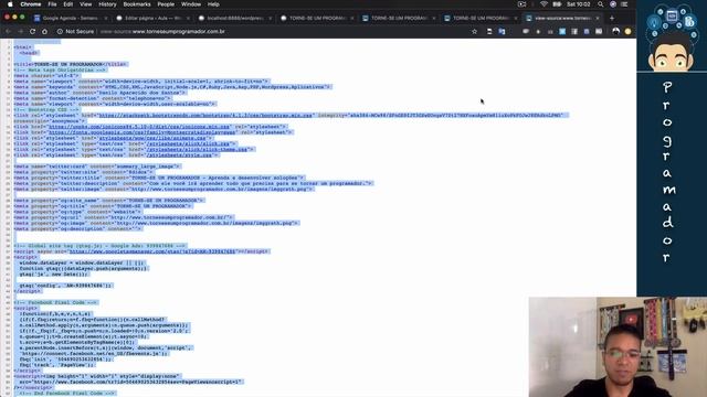 WordPress - Page.php - TORNE-SE UM PROGRAMADOR смотреть онлайн