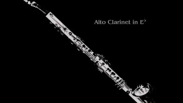 23 Clarinets - Clarinet Choir - L'Italiana In Algeri Ouverture