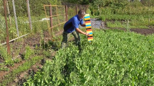 Эксперименты׃ Свежие древесные опилки. Внесение слоя 1см при осеннем высеве сидератов смотреть онлайн