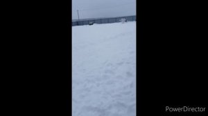 БЮДЖЕТНОЕ СТРОИТЕЛЬСТВО СВИНОФЕРМЫ | ПРОСТОЕ СОДЕРЖАНИЕ СВИНЕЙ