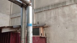 старт голубиные гонки - 25 км