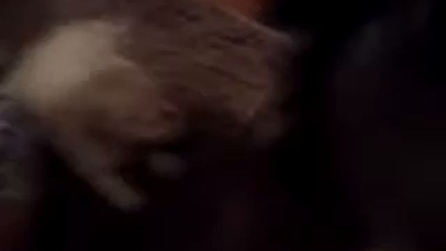 Пайки много не бывает смотреть онлайн