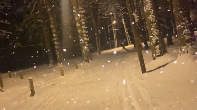 1 января 2024г.