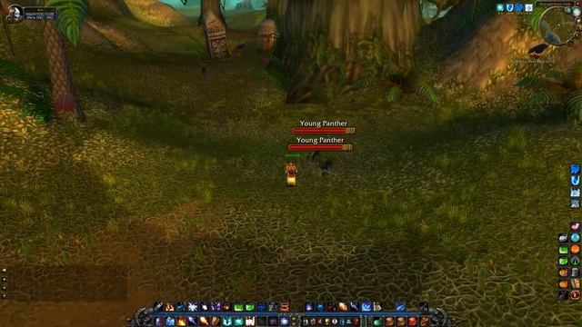 Panther Mastery 1/4 (Young Panther) WoW Classic Quest смотреть онлайн