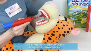 Техника чистки зубов электрической щеткой