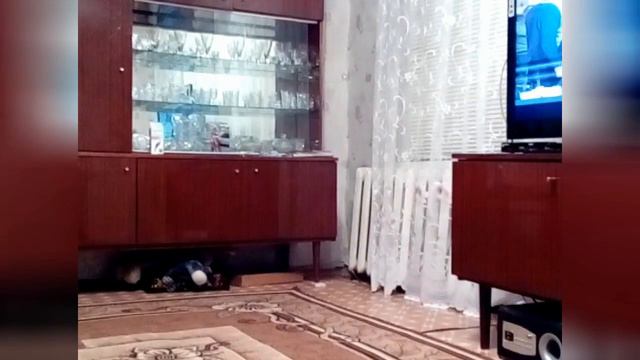 Девочка психует/Girl psyche смотреть онлайн
