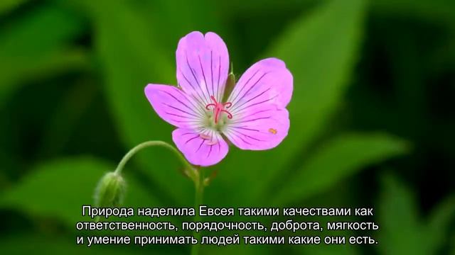 Значение имени Евсей. Толкование, судьба, характер