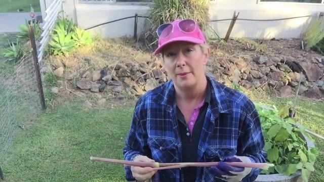 Lemongrass Haircut смотреть онлайн