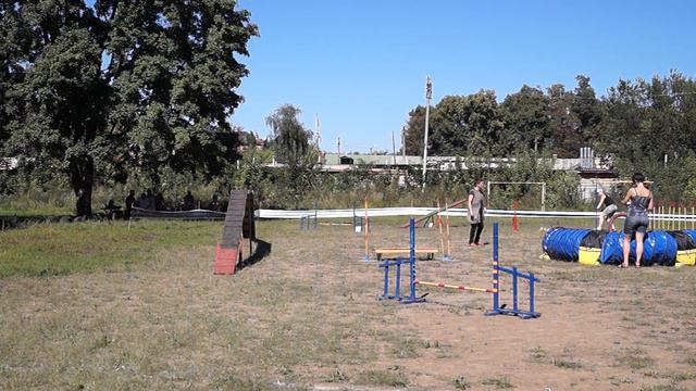 Черная Ольга / Йоркширський терьер IZOL`DA / Гемблерз смотреть онлайн