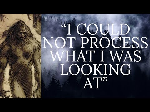 MULTIPLE BIGFOOT CREATURES CRAWLING ON ALL FOURS