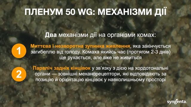 Інсектициди для ріпаку. Супер Майстерня Аграрія 2020: зона Лісостепу та Полісся смотреть онлайн