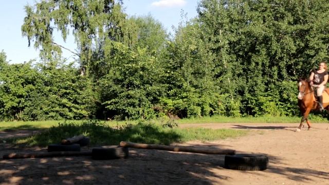 Конкурные тренировки конного клуба "Федерат". Занятия верховой ездой в Москве. смотреть онлайн