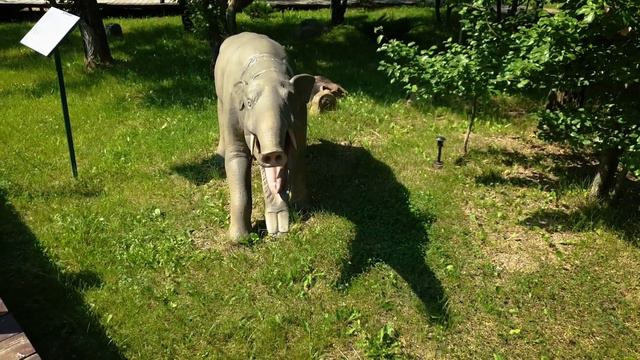 Дино парк /dinopark/