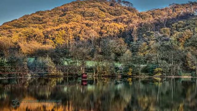 Экхарт Толле Сила Настоящего Сила Момента Сейчас #16 Истинная природа постранства и времени смотреть онлайн