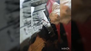 Замена венца на маховике ОКА