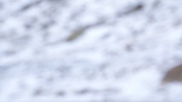 2019 Mercedes G350D 4Matic Red And G350 Blue смотреть онлайн