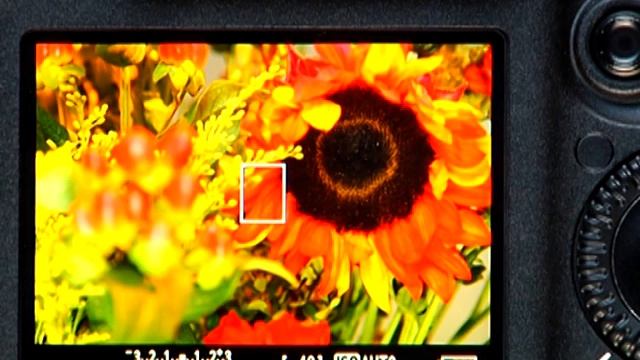 Canon EOS 7D - 1 1/2 Stunden Tutorial in Deutsch смотреть онлайн