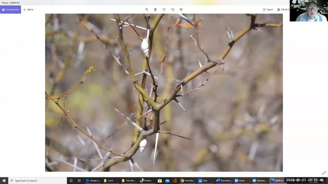 LBVBS Zoom Meeting Nels Christianson May 2020 смотреть онлайн