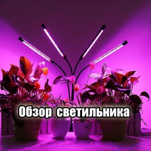 Фитолампа для растений с Wildberries