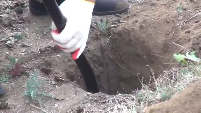 Узорчатый полоз1 смотреть онлайн