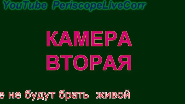 Не подчинилась требованиям полиции США, задавили.