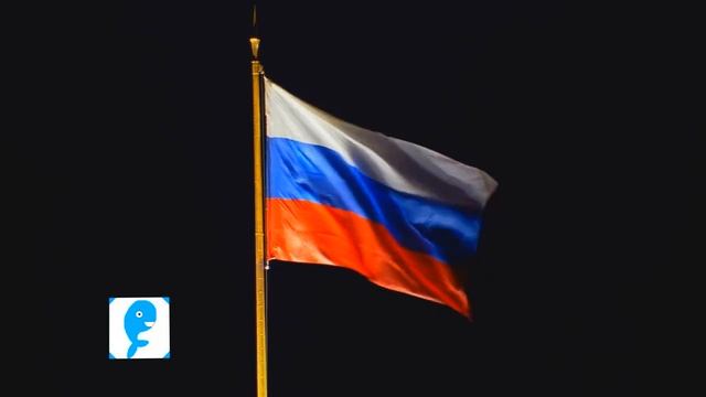 Новогоднее шоу  2016 Декабрь 2015.