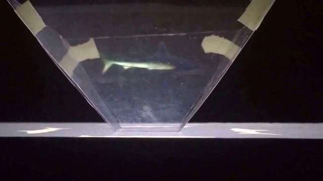Голографическая пирамида своими руками. смотреть онлайн