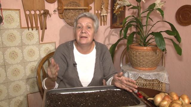 Голова садовая - ВАЖНАЯ ИНФОРМАЦИЯ! Посев лука Часть 2 смотреть онлайн