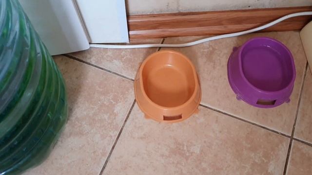 Не поваляешься не поешь. смотреть онлайн