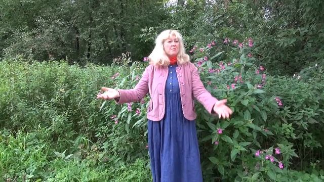 М.Волошин " Выйди на кровлю..." смотреть онлайн