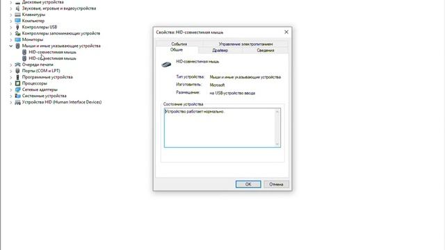 EAC Blacklisted Device: Bloody Mouse